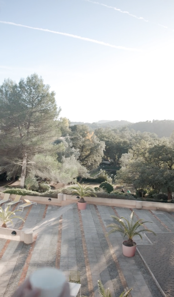 Terrasse I La terrasse vue sur la pin&egrave;de