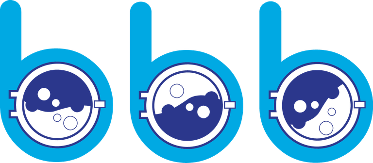Logo Blanchisserie du Bassin de Brive