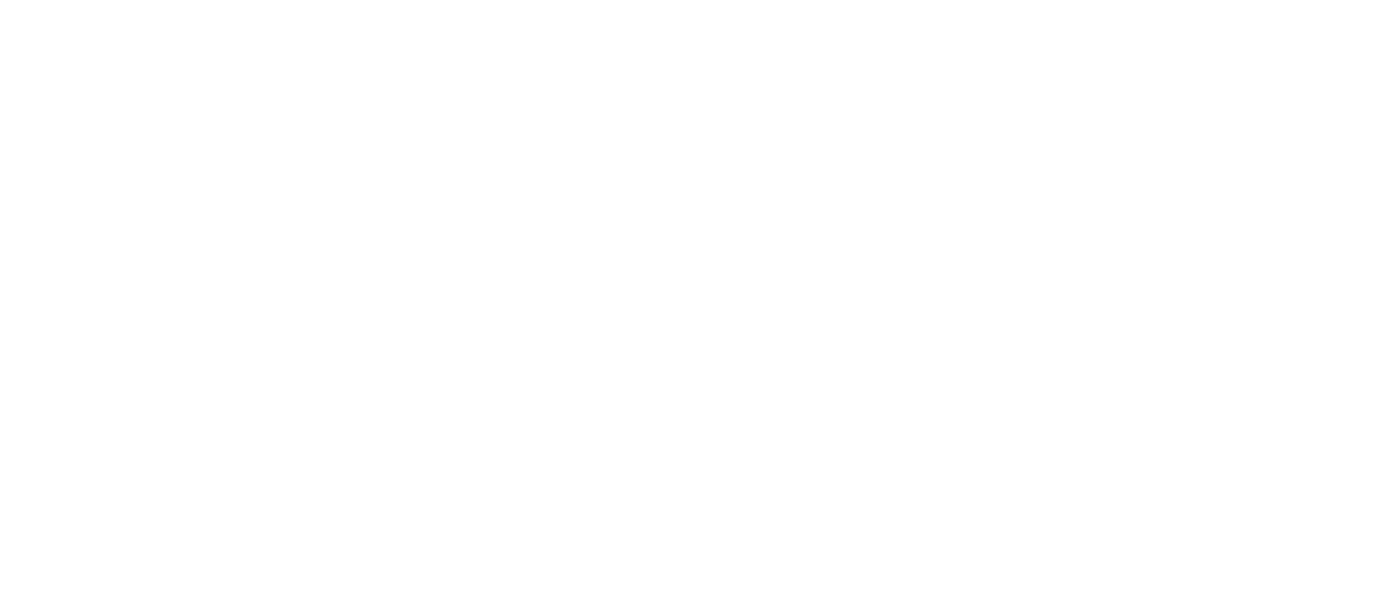 Logo CONSUEL