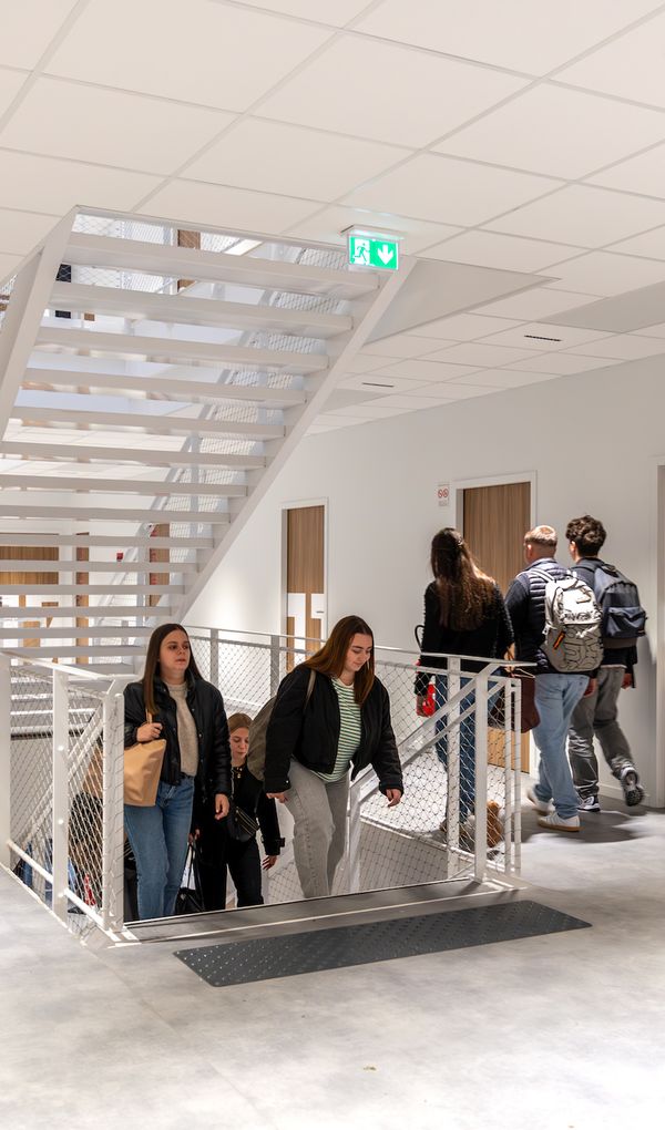 BTS, Bchelors et Mast&egrave;res en alternance