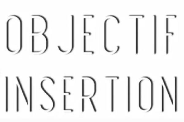 Objectif Insertion : Découvrez une synthèse des portraits