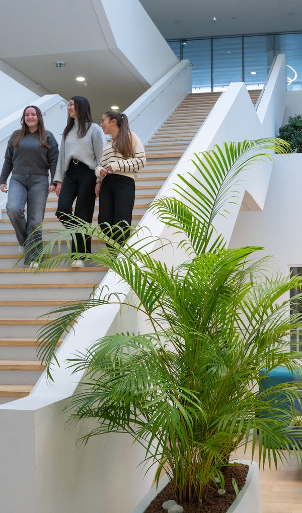 Un campus moderne pour une exp&eacute;rience &eacute;tudiante unique