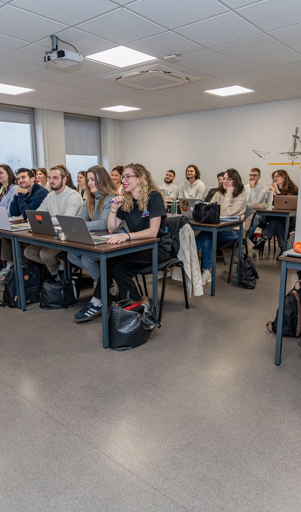 Découvrez toutes les formations de l’IFA Business School