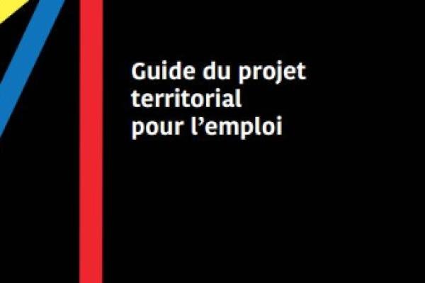 Projet Territorial pour l'Emploi : Le Ministère du Travail publie un guide