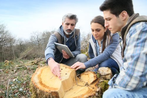 Formation Environnement