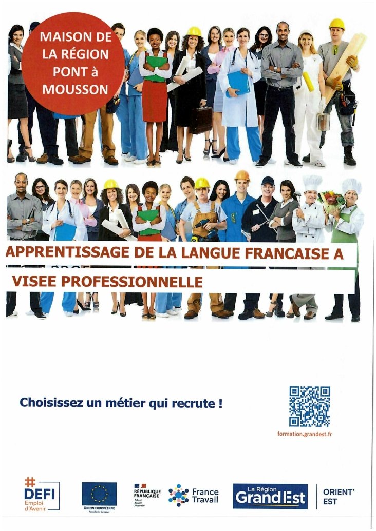 APPRENTISSAGE DE LA LANGUE FRANCAISE A VISEE PROFESSIONNELLE