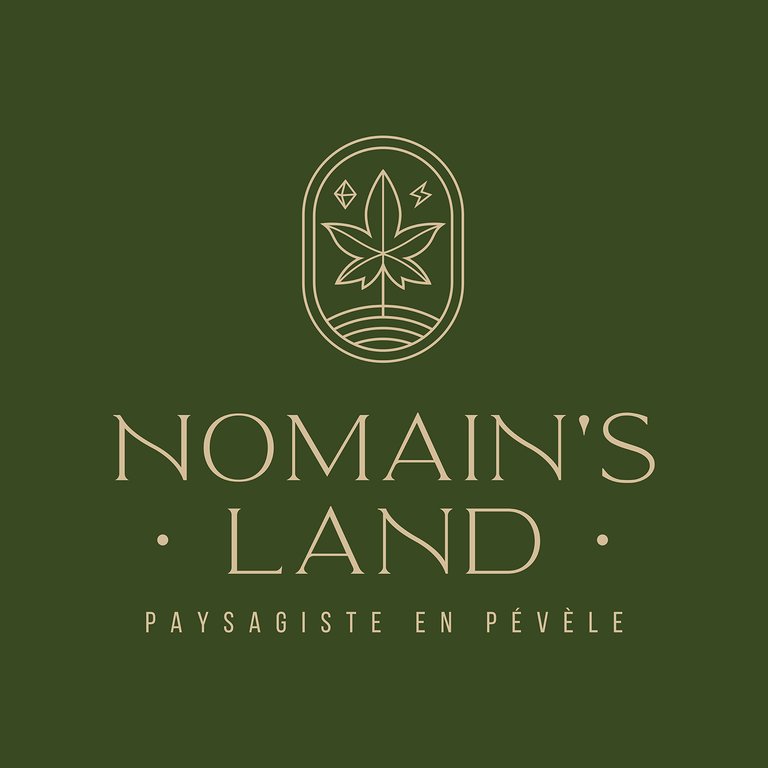 Logo Nomain's Land