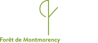 Logo Plaine Vallée Emploi - Retour à l'accueil