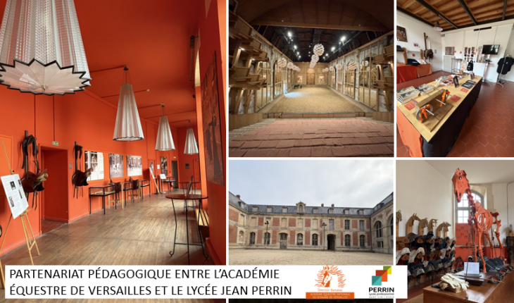 Un partenariat pédagogique entre l’Académie Équestre de Versailles et le Lycée Jean Perrin