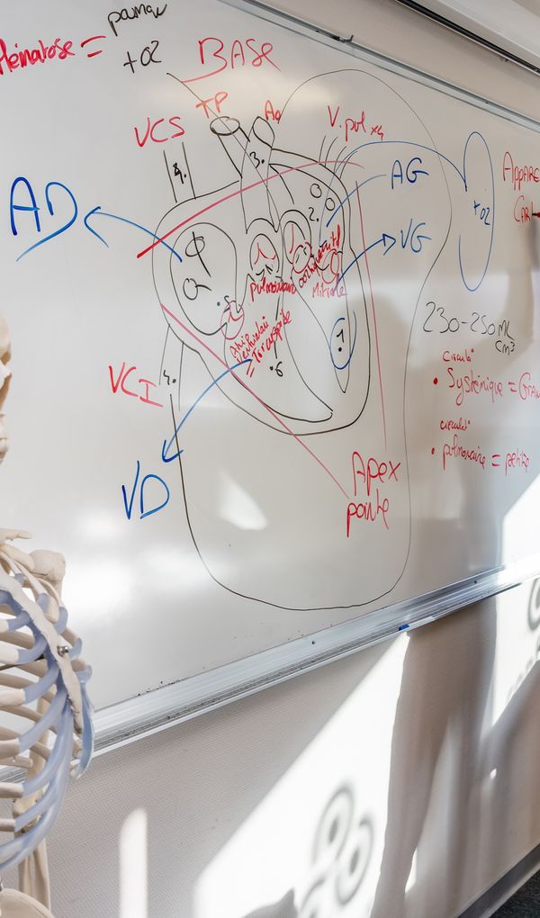 Des formations d’anticipation et de suivi complet pour assure sa L1SPS
