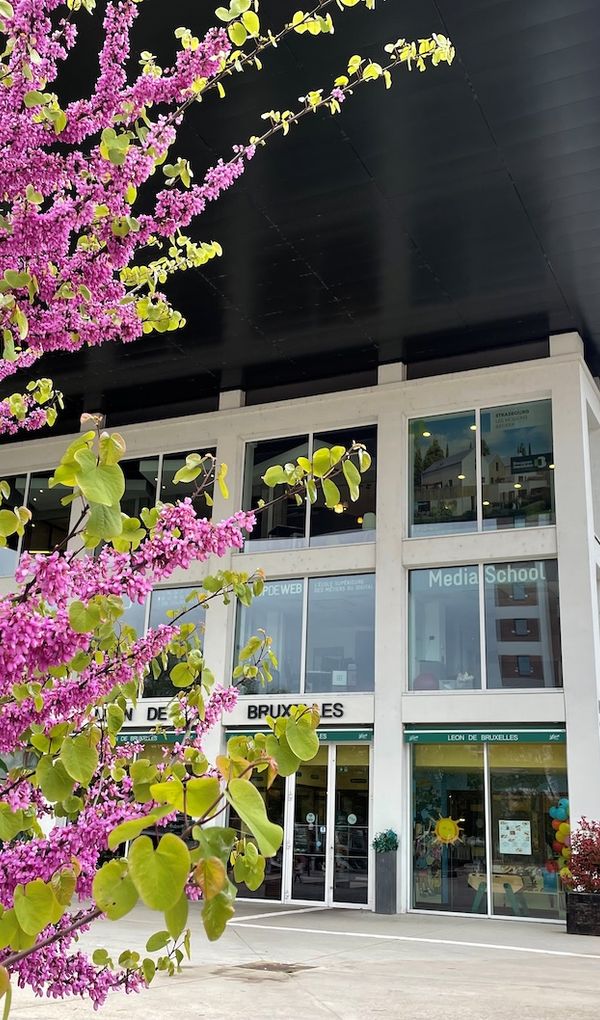 L&rsquo;&eacute;cole des nouveaux communicants &agrave; Strasbourg