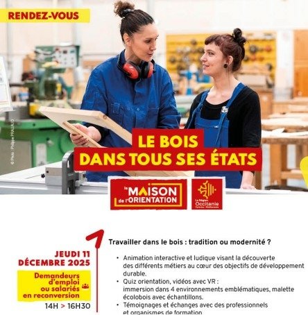 Le Bois dans tous ses états