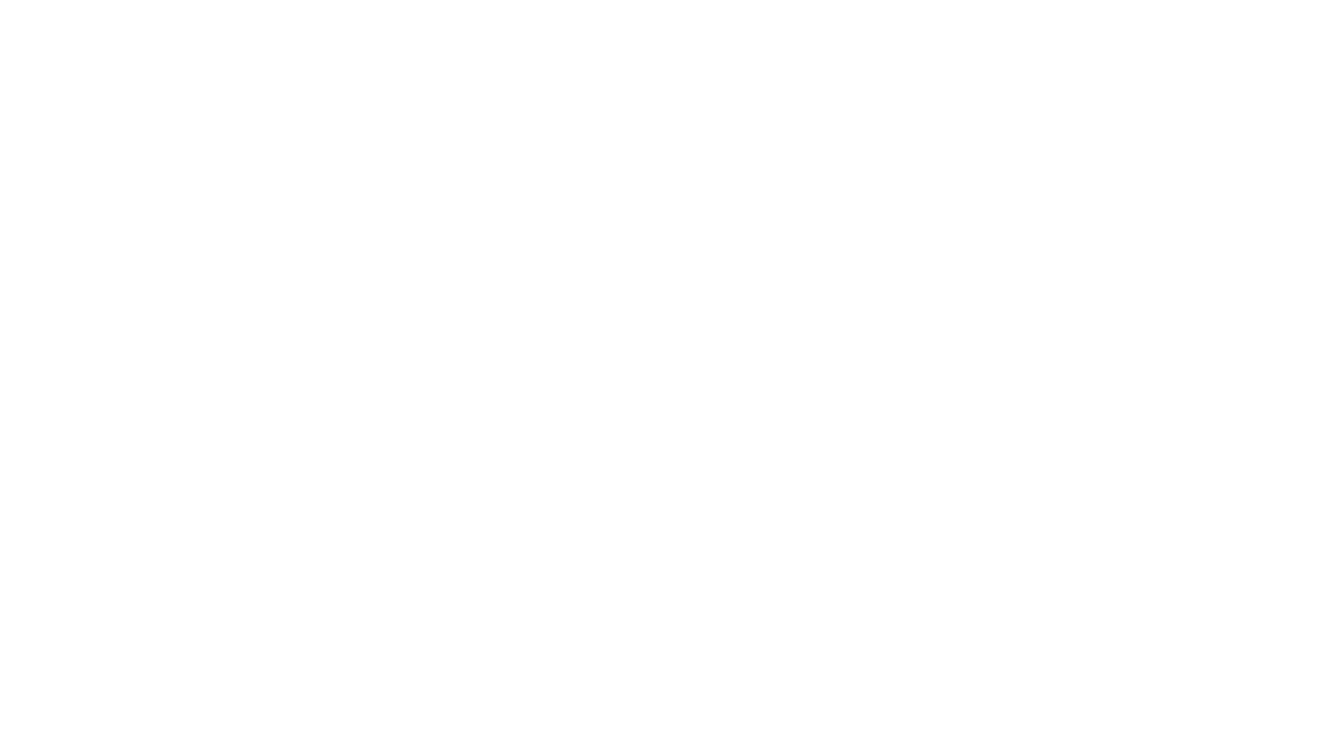 Logo DSG - DE SANGOSSE Group