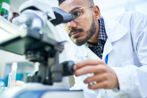 Mast&egrave;re dans le domaine Sciences