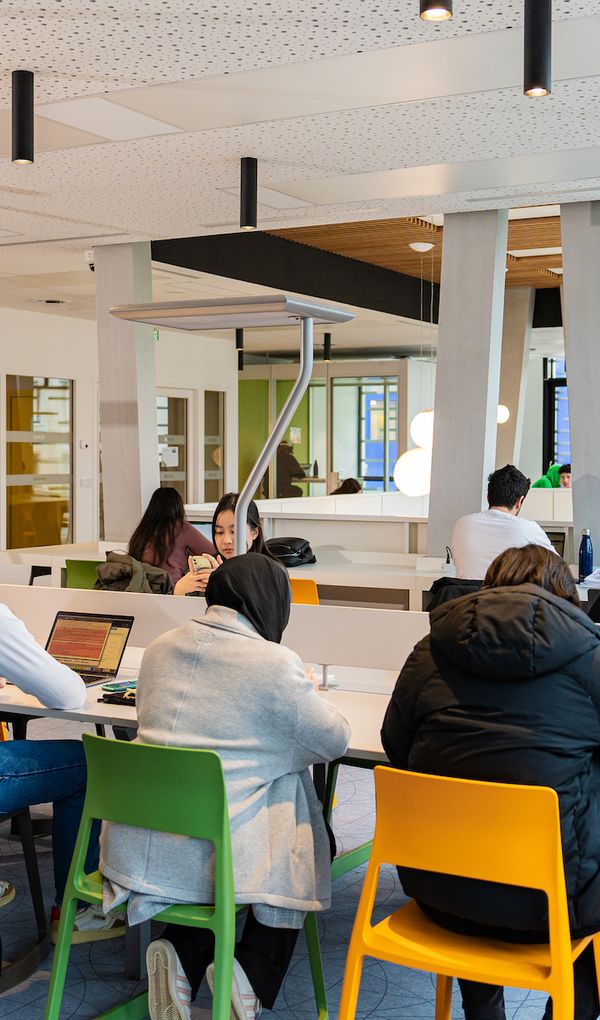 L’IÉSEG propose sur ses campus plus d’une vingtaine de programmes diplômants