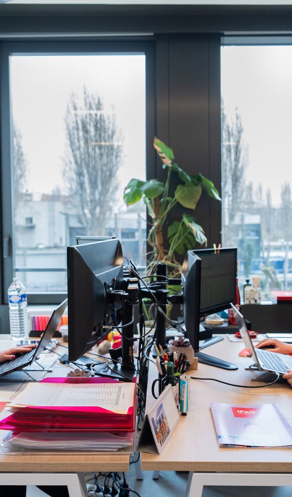 L&rsquo;ensemble des formations sont reconnues par des dipl&ocirc;mes d&rsquo;Etat ou des titres certifi&eacute;s