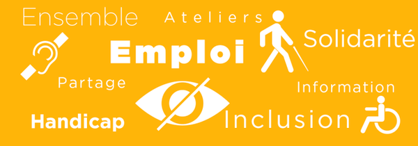 Han'Parkour Emploi - Appui au Diagnostic 