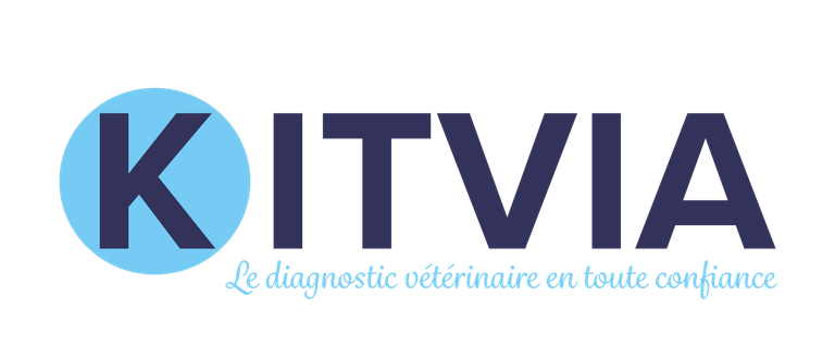 Logo KITVIA