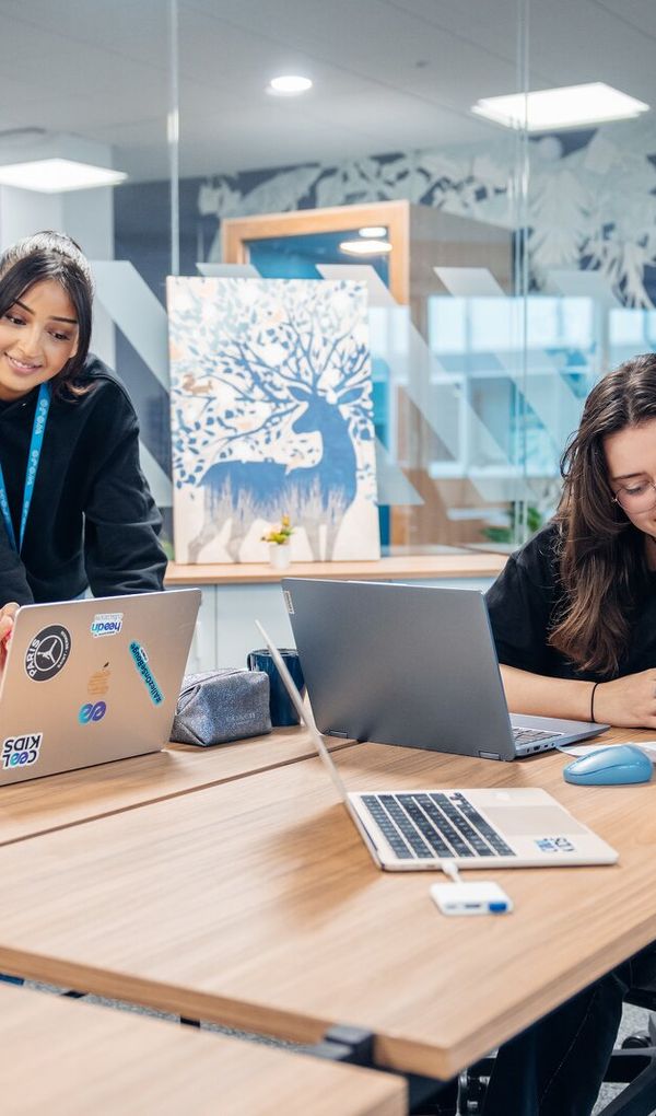 Bachelors et Mast&egrave;res reconnus par l&rsquo;&Eacute;tat, Titres RNCP de niveau 6 et 7.