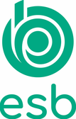 ESB