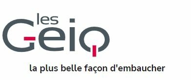 Les GEIQ  : UN CONCEPT UNIQUE D'INSERTION PAR LA QUALIFICATION