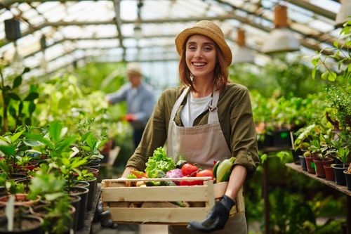 Licence pro dans le domaine Agricole & Animaux