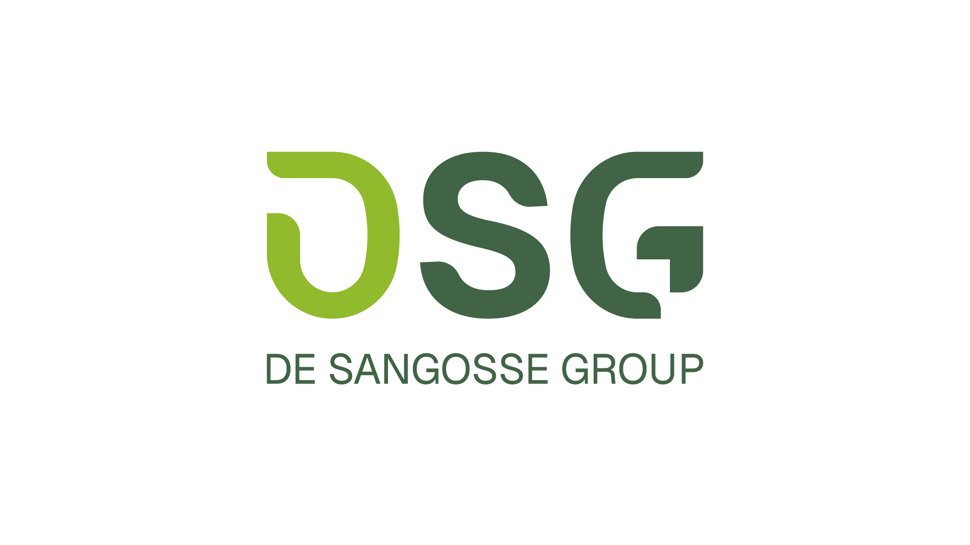 Logo DSG - DE SANGOSSE Group