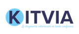Logo KITVIA