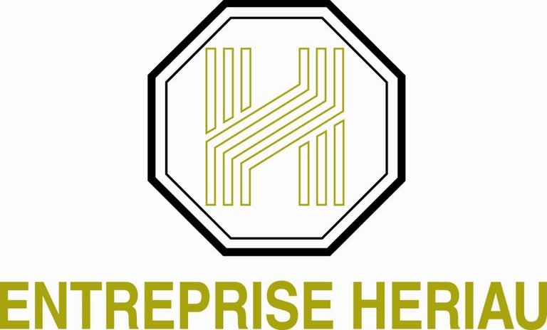 Logo Entreprise HERIAU