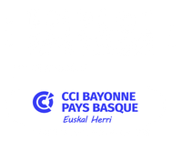 Logo Plateforme Emploi Pays Basque - Retour à l'accueil