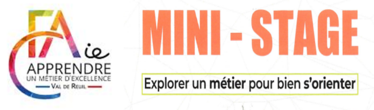 MINI-STAGE au CFAIE