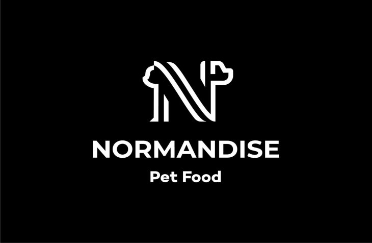 logo Normandise