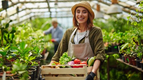 BTSA m&eacute;tiers du v&eacute;g&eacute;tal : alimentation, ornement et environnement &agrave; Lille