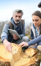 Bachelor : tout savoir sur ce cursus (Bac+3)-image-1