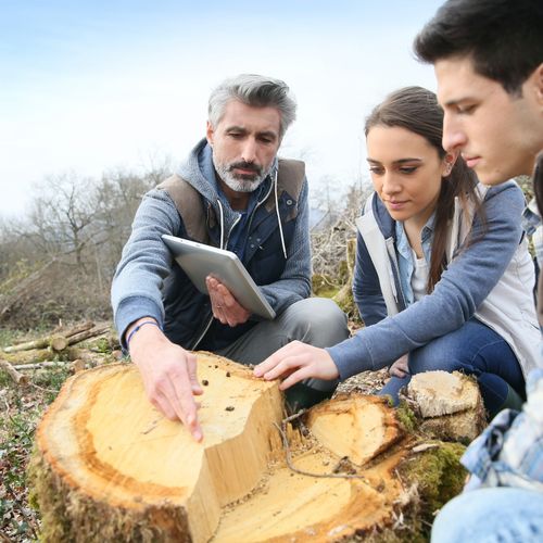 Master : tout savoir sur ce dipl&ocirc;me national (Bac+5)-image-1