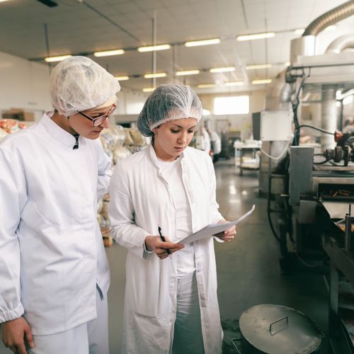 BTS : tout savoir sur le Brevet de Technicien Supérieur (Bac+2)-image-2