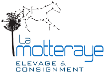 Haras de la Motteraye