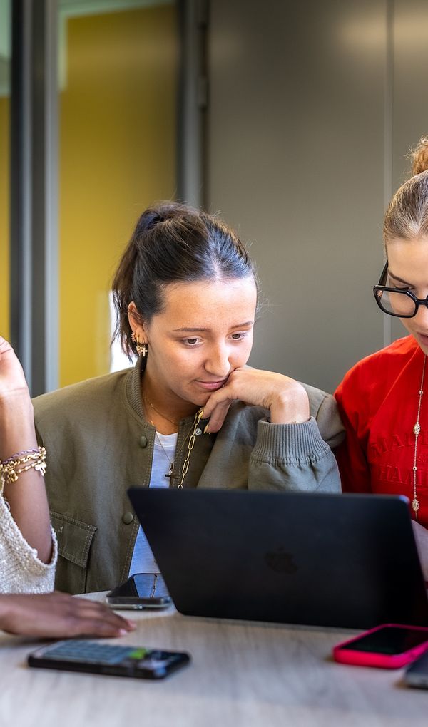 Toutes nos formations sont reconnues par des dipl&ocirc;mes d&rsquo;Etat ou des titres certifi&eacute;s