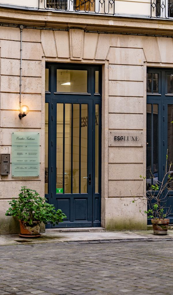 L&rsquo;ESG Luxe, l&rsquo;&eacute;cole de commerce et marketing du luxe