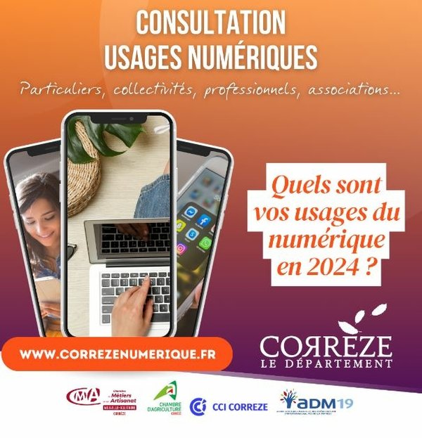 CONSULTATION USAGES NUMERIQUES