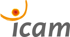 ICAM Toulouse - &Eacute;cole d&rsquo;ing&eacute;nieurs g&eacute;n&eacute;raliste