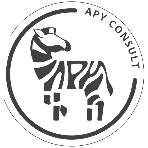 Logo APY Consult