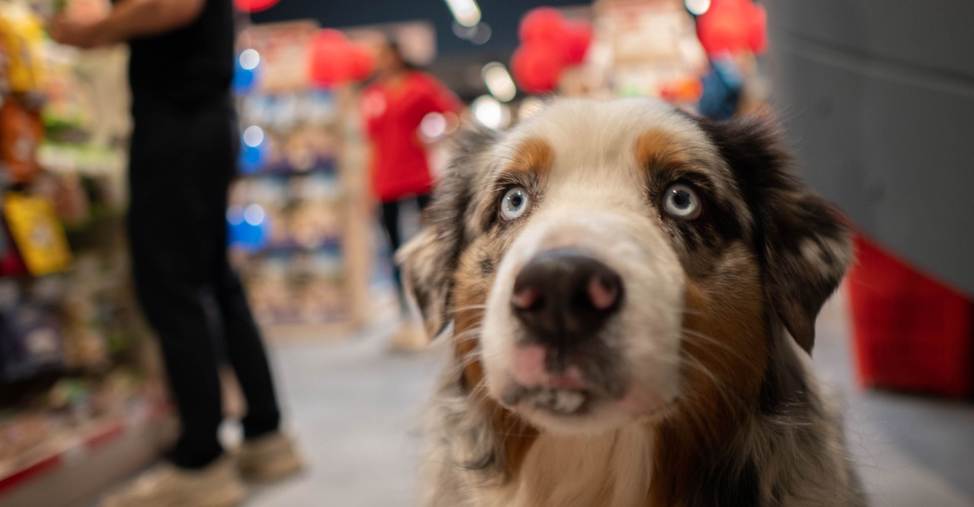 photo carousel numéro 3