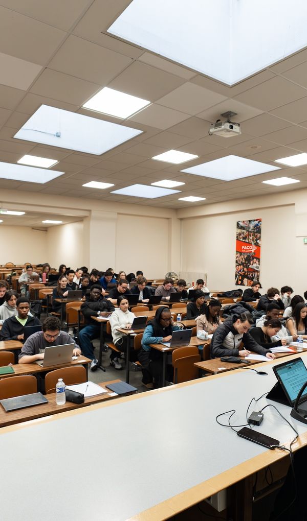 Du Bachelor au Mast&egrave;re en Droit.