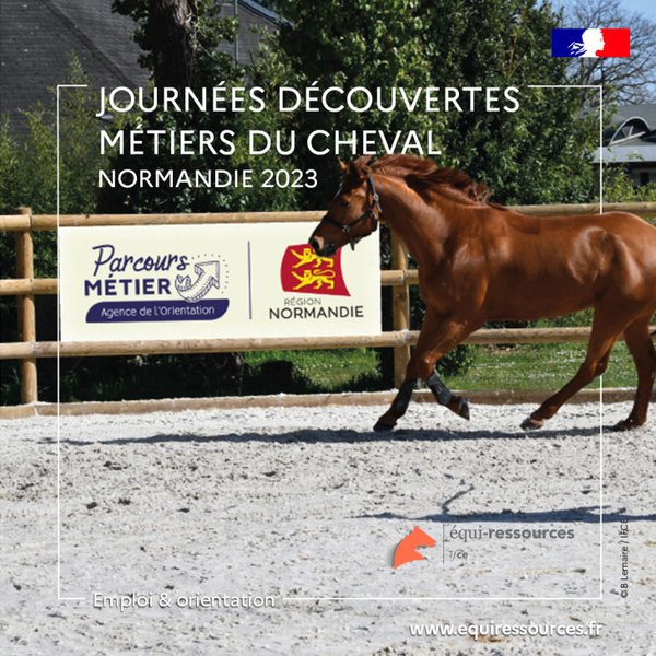 Journées découverte des métiers du cheval en Normandie