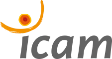 ICAM Toulouse - &Eacute;cole d&rsquo;ing&eacute;nieurs g&eacute;n&eacute;raliste